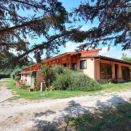 بيت شباب La Dimora Degli Etruschi Civitella Cesi المظهر الخارجي الصورة